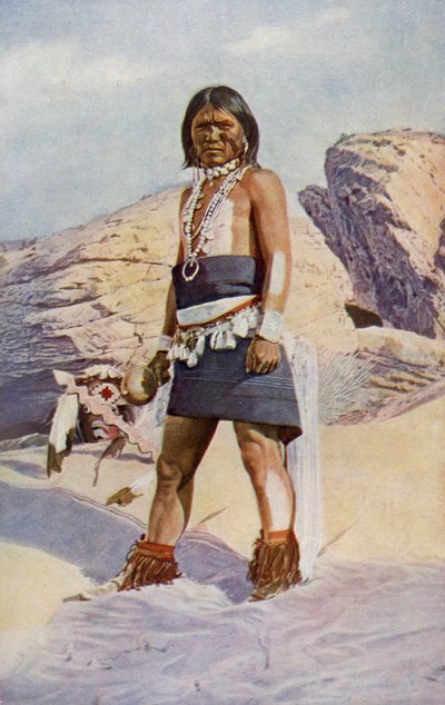A Hopi snake-dancer of Arizona by Unknown
